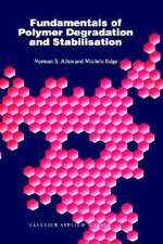 Fundamentals of Polymer Degradation and Stabilization