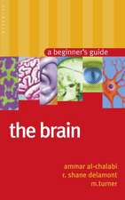 The Brain: A Beginner's Guide