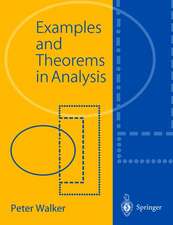 Examples and Theorems in Analysis