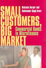 Small Customers, Big Market: Commerccccial Banks in Microfinance