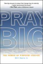 Pray Big – The power of pinpoint prayer