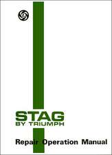 Stag by Triumph