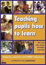 Teaching pupils how to learn: research, practice and INSET resources