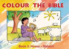 COLOUR THE BIBLE BK 3 REV/E