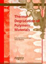 Thermal Degradation of Polymeric Materials