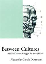 Between Cultures: Tensions in the Struggle for Recognition