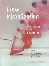 Flow Visualization: Techniques and Examples