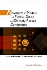 Asymptotic Models of Fields in Dilute an