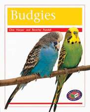 Budgies PM Non Fiction Amimal Facts Level 16 Pets Orange