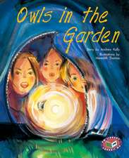 Owls in the Garden PM Gold Set A