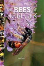 Bees of Norfolk