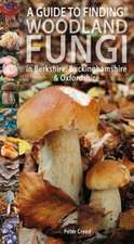 Guide to Finding Woodland Fungi in Berkshire, Buckinghamshire and Oxfordshire