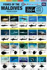 Maldives Fish Field Guide 