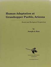 Human Adaptation at Grasshopper Pueblo, Arizona: Social and Ecological Perspectives