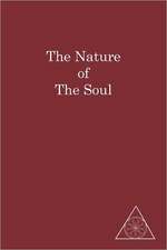 The Nature of the Soul