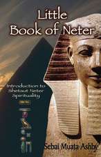 Little Book of Neter: Introduction to Shetaut Neter Spirituality and Religion