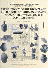 Archaeology of the Bronze Age, Hellenistic, and Roman Remains at an Ancient Town on the Euphrates River: Excavations at Tell Es-Sweyhat, Syria Volume