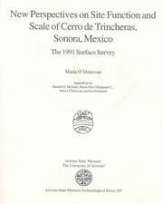 New Perspectives on Site Function and Scale of Cerro de Trincheras, Sonora, Mexico