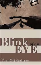 Blink of an Eye