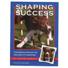 Shaping Success