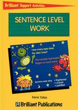 Sentence Level Work (Brilliant Support Activities)