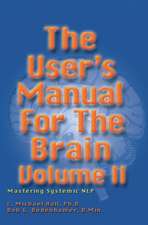 User's Manual for the Brain, Volume II: Mastering Systemic Nlp