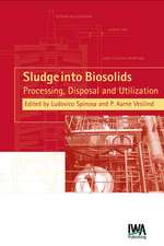 Sludge Into Biosolids