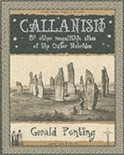 Callanish and Other Megalithic Sites of the Outer Hebrides: And Other Megalithic Sites of the Outer Hebrides