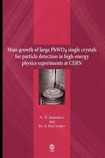 Mass Growth of Large Pwo4 Single Crystals for Particle Detection in High-Energy Physics Experiments at Cern: From Linear Programming to Metaheuristics