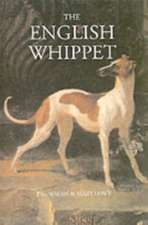 The English Whippet