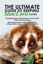 The Ultimate Guide to Keeping Slow Loris as Pets including Pygmy, Baby, Bengal, Javan, Sunda & Bornean Slow Loris. With Information on Slow Loris For Sale, Eating, Teeth, Venom, Endangered Status & Charities