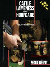 Blowey, R: Cattle Lameness and Hoofcare