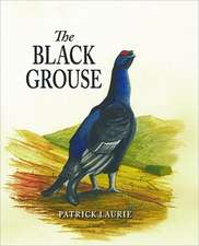 The Black Grouse