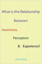 What Is the Relationship Between Awareness, Perception & Experience?