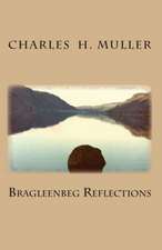 Bragleenbeg Reflections: A Novel Out of Africa