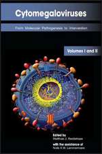Cytomegaloviruses: From Molecular Pathogenesis to Intervention (Two Volume Box Set)