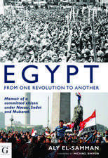 Egypt: Memoir of a Committed Citizen Under Nasser, Sadat and Mubarak