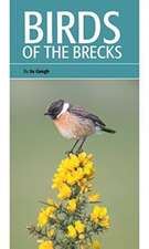 Gough, S: Birds of the Brecks