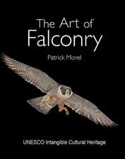 The Art of Falconry