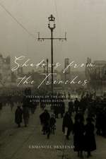 Shadows from the Trenches: Veterans of the Great War and the Irish Revolution (1918–1923)