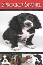 Sprocker Spaniel