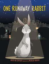 Metzenthen, D: One Runaway Rabbit