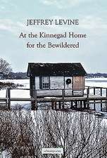 At the Kinnegad Home for the Bewildered