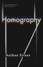Homography