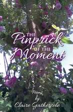 The Pinprick of the Moment