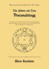 The Hidden and True Pneumatology