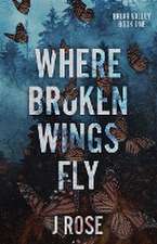 Where Broken Wings Fly