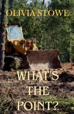 What's the Point?: Charlotte Diamond Mysteries 5