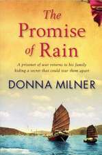 Promise of Rain: A Prisioner of War Returns to His Family Hiding a Secret That Could Tear Them Apart