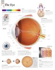 Eye Paper Poster